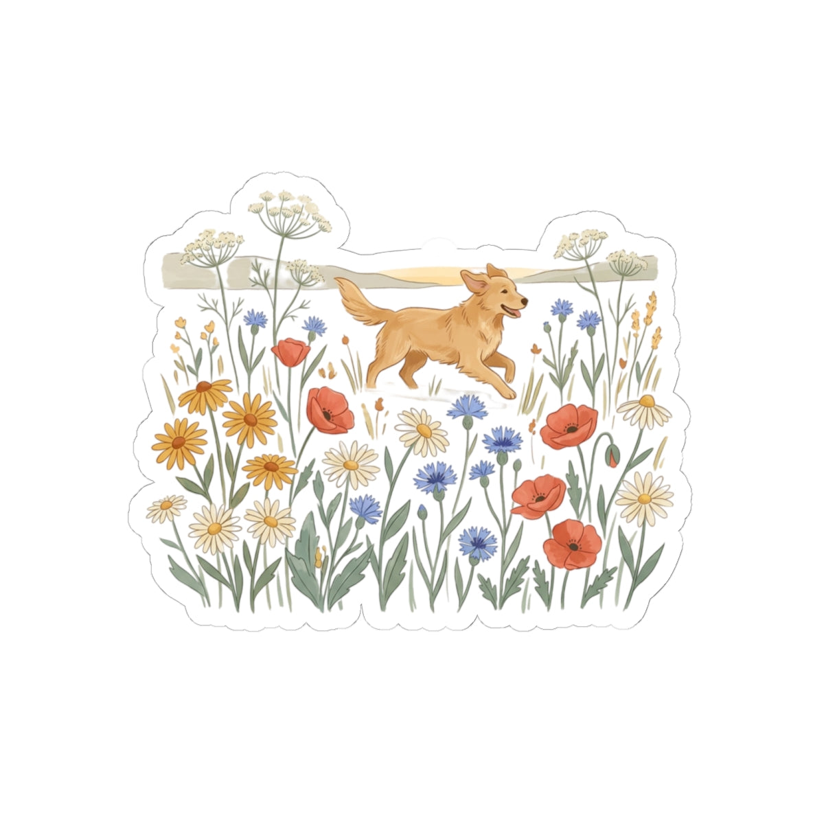 Paws Collection