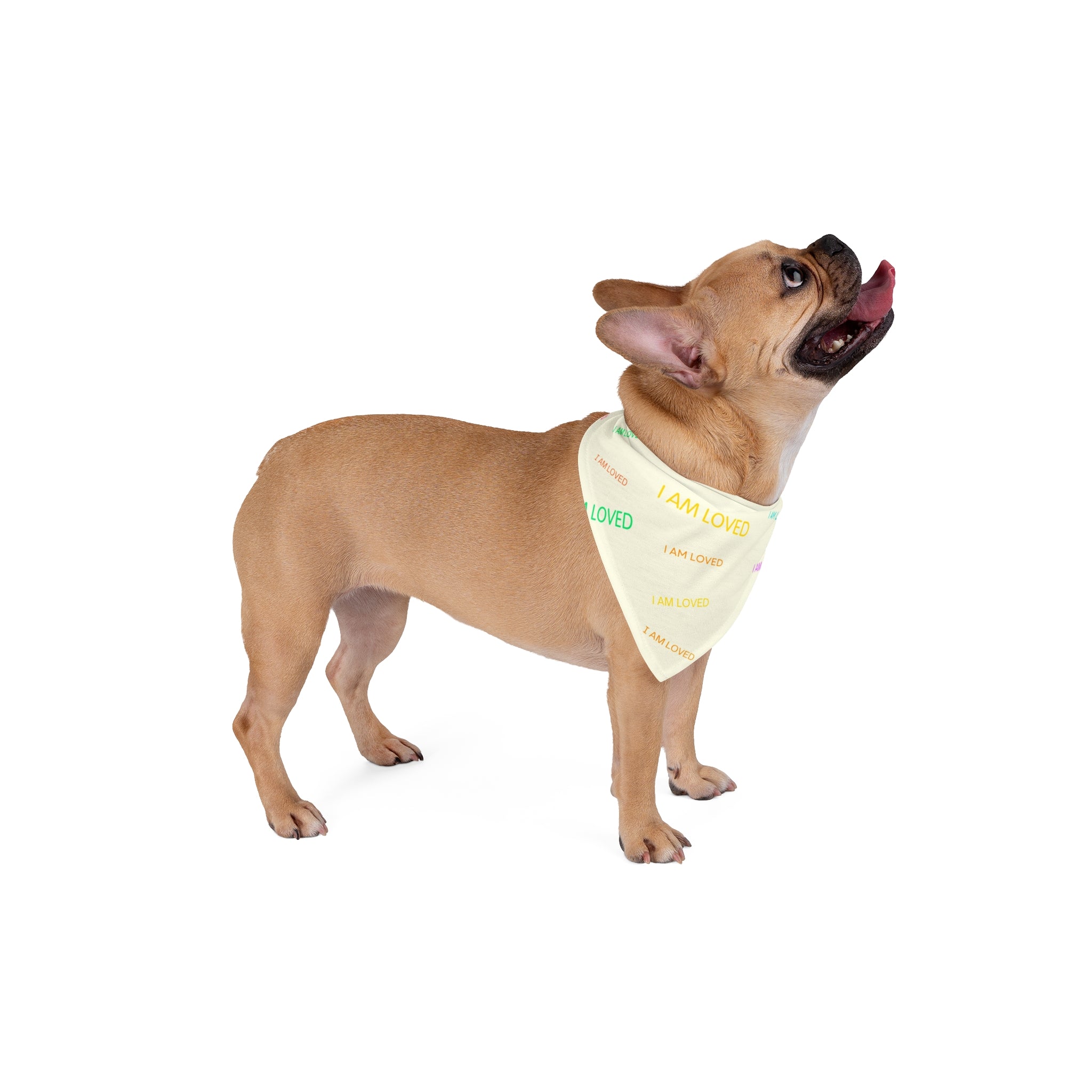 I AM LOVED - Pet Bandana