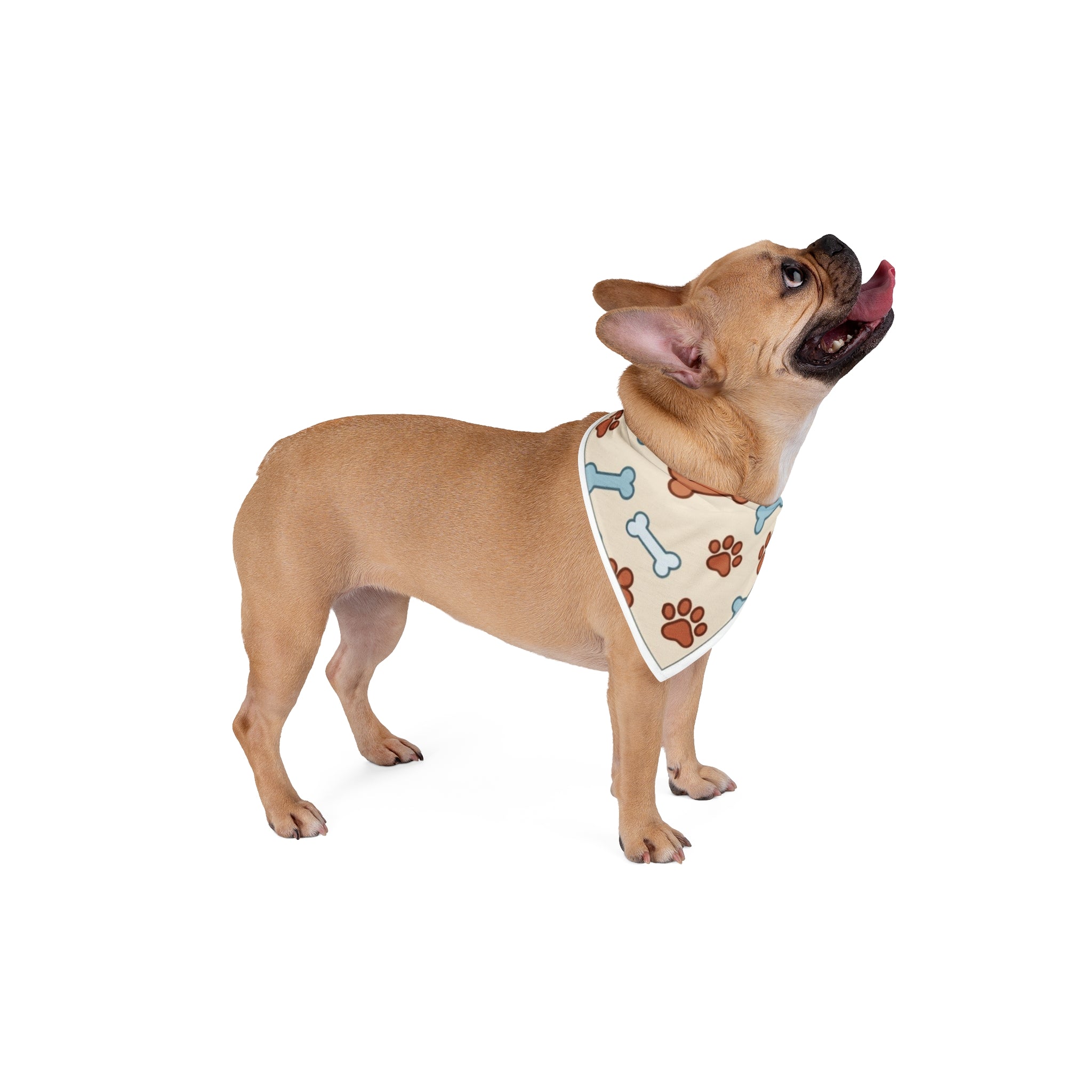 Paws and Bones - Pet Bandana